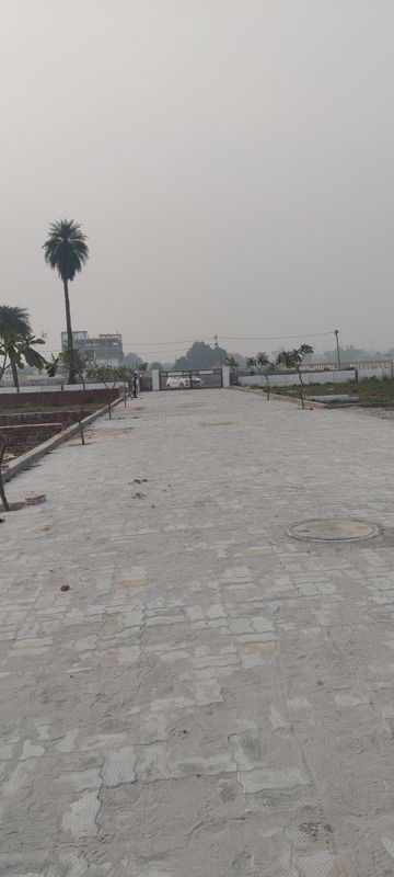 Plot For Sale in A P Sabha