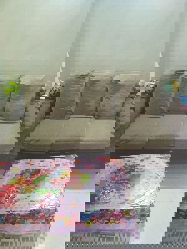 1 BHK Apartment For Rent in Sindhi Society