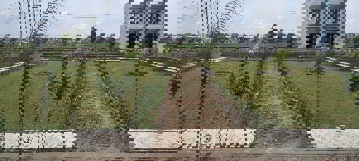 Plot For Sale in Ganga Nagar