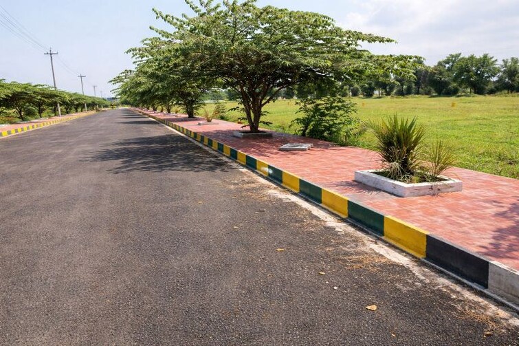 Cover Image, badripur  156 Sq.Yd. Plot In Badripur Dehradun 9741322