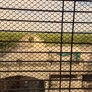 Bathroom in 3 BHK Apartment at Kollur Gated Community, Kollur – for Sale