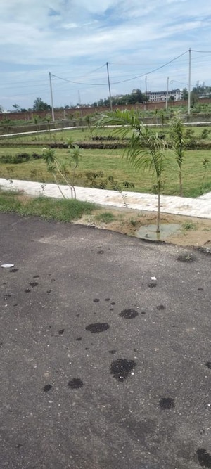 Plot Area in  Plot at Ganga Nagar – for Sale