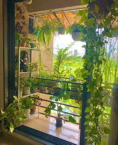 Pg For Rent in Viram Khand