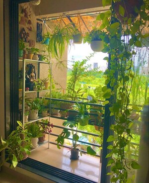  Pg For Rent in Viram Khand