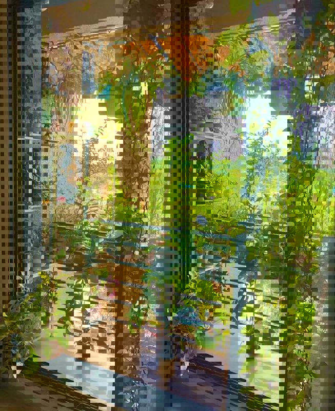 Pg For Rent in Viram Khand