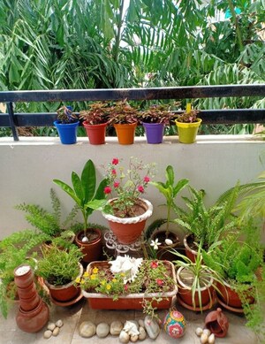  Pg For Rent in Vineet Khand