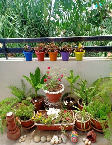  Pg For Rent in Vineet Khand