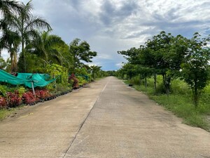 Plot Area in  Plot at Sejbahar – for Sale