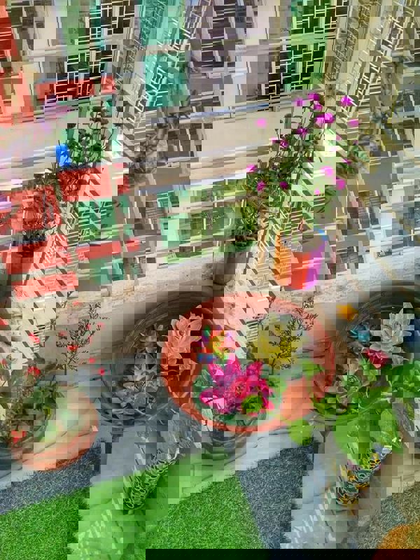 Pg For Rent in Vineet Khand