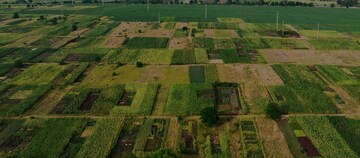   Plot at Gamma Ii Greater Noida – for Sale