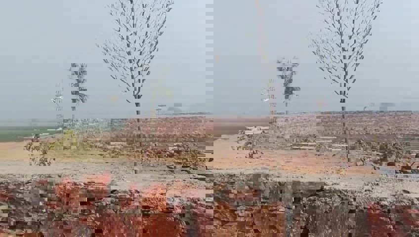 Plot For Sale in Chhatikara