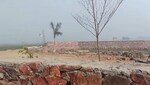 1008 Sq.Yd. Plot in Chhatikara