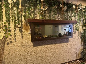 4 BHK Apartment – Exterior View View at Bandra West - for Rent