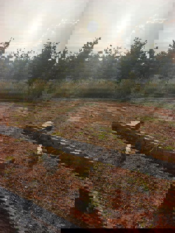 Plot For Sale in Chandapura