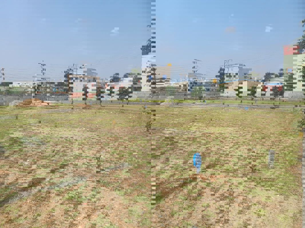 Plot For Sale in Sarjapur