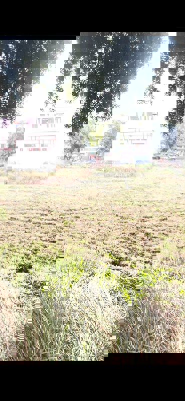 Plot For Sale in Sector-4