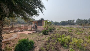 Plot Area in  Plot at Raisen Road – for Sale