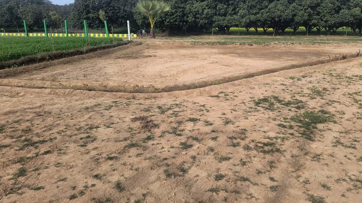 undefined, banthara  1000 Sq.Ft. Plot In Banthara Lucknow 9742677