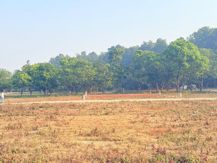 undefined, shimla bypass road  103 Sq.Yd. Plot In Shimla Bypass Road Dehradun 9743191