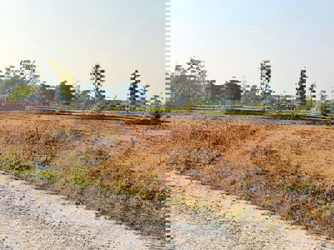 Plot For Sale in Badripur