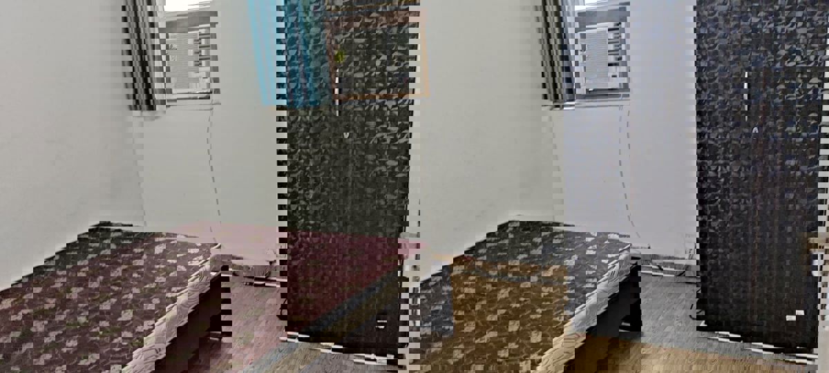 2 BHK + Study Room 526 Sq.Ft. Apartment in Tulip Lemon