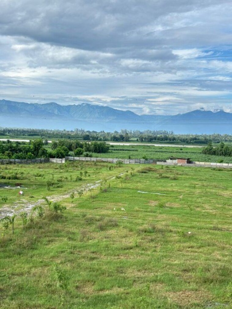 undefined, badripur  150 Sq.Yd. Plot In Badripur Dehradun 9743664