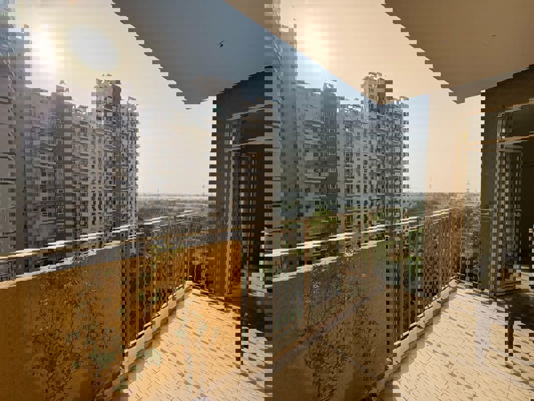 2 BHK Apartment For Rent in Ireo The Corridors