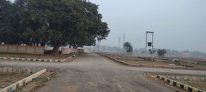 Plot Area in  Plot at Mohanlalganj – for Sale