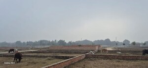 Plot Area in  Plot at Mohanlalganj – for Sale