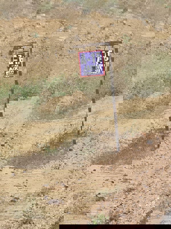 Studio  525 Sq.Ft. Apartment in JainX Cyber City