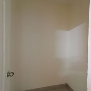 3 BHK Apartment For Rent in Tulip Violet, Sector 69