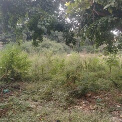 Plot For Sale in Byrathi