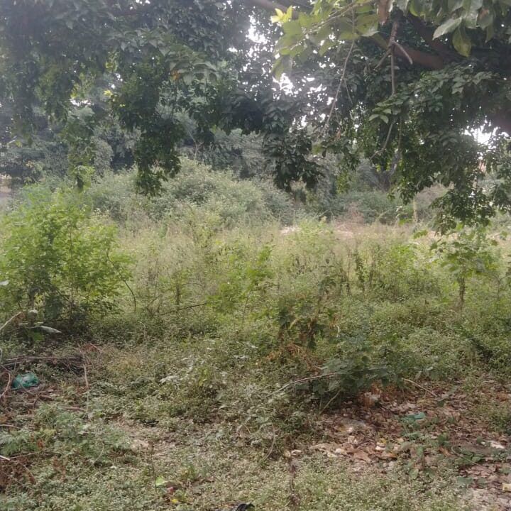 Plot For Sale in Byrathi