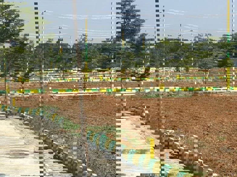 Plot For Sale in Mullur