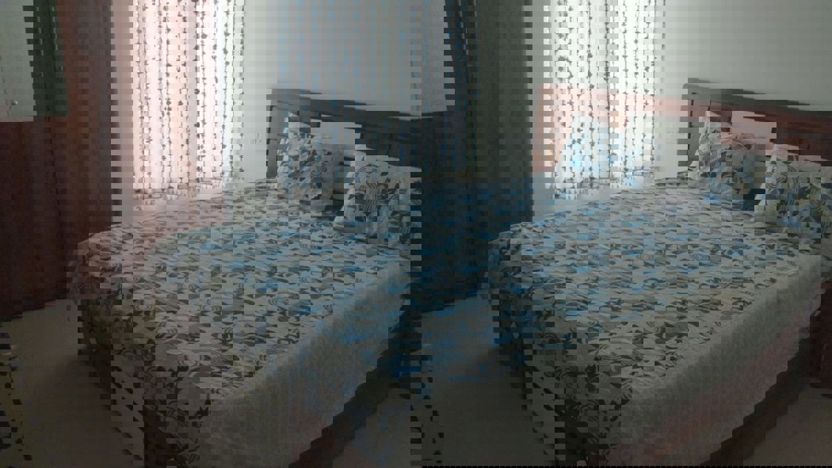 1 BHK Apartment For Rent in Rama Livmo