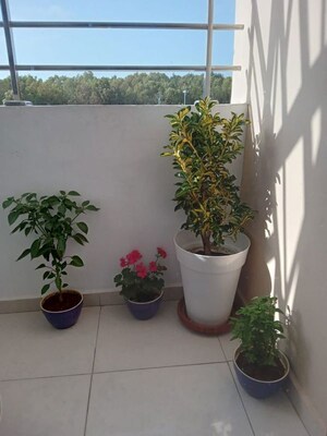 Room in  Pg at Viram Khand – for Rent