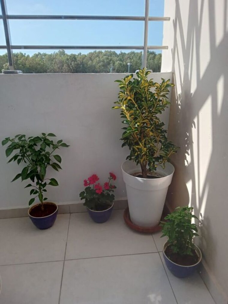 Room, viram khand Pg For Girls In Viram Khand 9744203