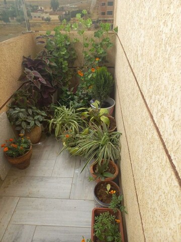 Room in  Pg at Viram Khand – for Rent