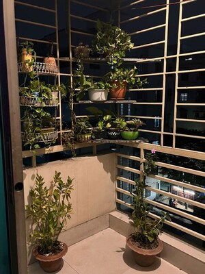  Pg For Rent in Viraj Khand