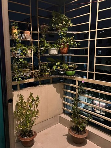  Pg For Rent in Viraj Khand