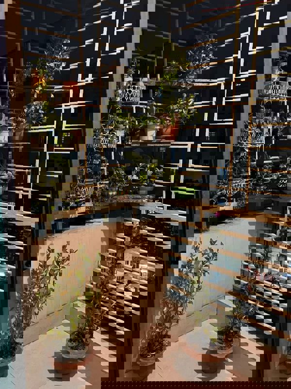 Pg For Rent in Viraj Khand