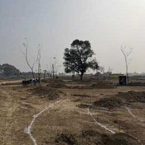 Plot Area in  Plot at Mohanlalganj – for Sale