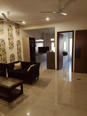 Living Room in 3 BHK Builder Floor at Pir Machalla – for Rent