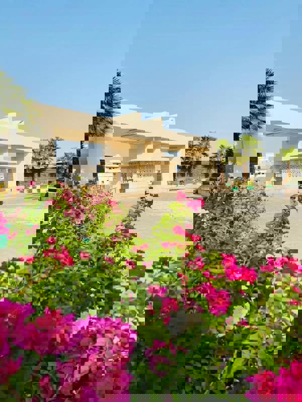 Plot For Sale in Wing Lucknow Greens Plots