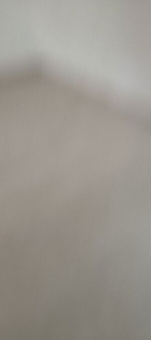 Furnished Amenities in 3 BHK Builder Floor at Sector 21d – for Rent