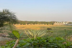 Plot Area in  Plot at Zestha Bhagirath Vihar Residency, Sector 27 Yamuna Expressway – for Sale