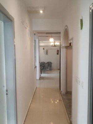 3 BHK Apartment For Rent in Prateek Wisteria, Sector 77