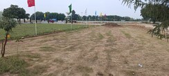 Plot For Sale in Pimpalgaon