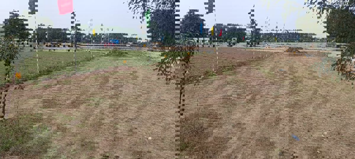 Plot For Sale in Pimpalgaon