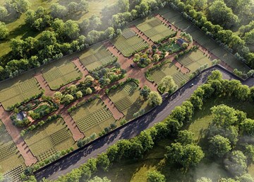  Plot For Sale in Sachana